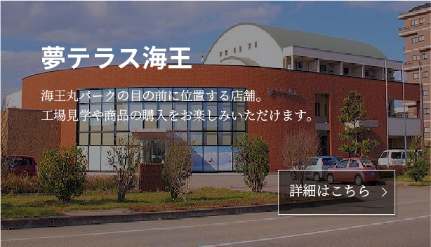 夢テラス海王